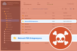 Fake WordPress PBN plugin hides malware in the database